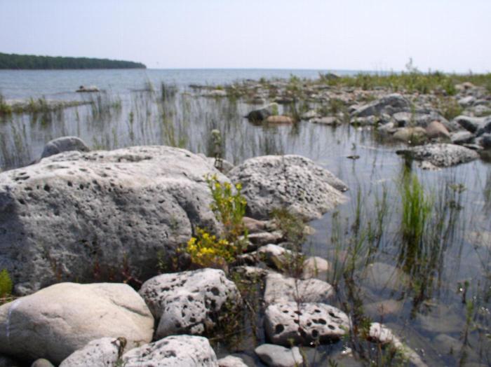 Beavertail Point Plant Preserve